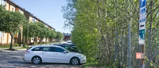 BESKEDET: Parkeringsavgift införd på populära Motalagatan