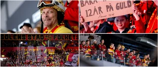 Fångades du på bild under guldmatchen? • Se fotografens bilder