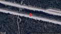 Rådjur innanför viltstängslet på E18