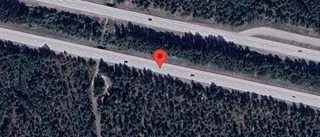 Just nu: Rådjur innanför viltstängslet på E18