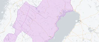 Stor risk för gräsbrand i Västerbotten