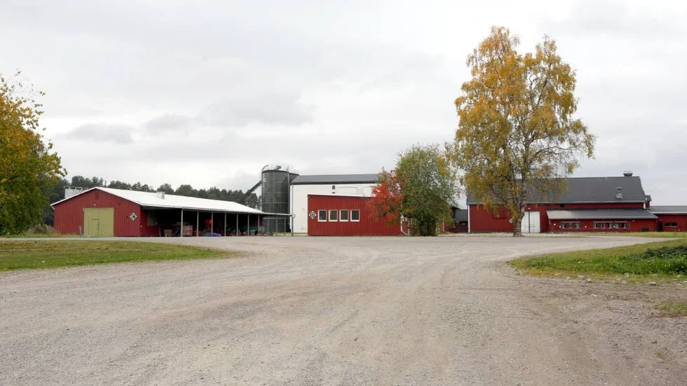 Försöksgården i Öjebyn kan bli et nav för landsbygdesn aktörer. Detta i samarbete med Grans Naturbruksskola. (Arkivbild)