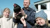 Hönan Johanna, som Joakim Ryman håller, är vänlig nog att leverera gröna ägg  färgade och klara till påskbordet. Systrarna Emma och Erika gillar ägg  tillagade på olika sätt.
FOTO: TITTI OLOVSSON
