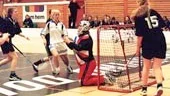 Anna Nöjd (vit tröja) gjorde två av tre mål när Borgsmos F85lag vann finalen i Stadium Cup över Flen med 30.
FOTO: HASSE JOHNSSON