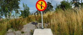 Nöden har en lag • Kissande man hamnade i ljuskäglan av polisbilens strålkastare – döms till böter