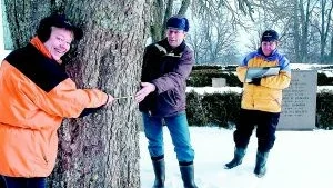 Margaretha Lovén och Hans Axelsson mäter trädets omkrets och Gun-Britt Germundsson antecknar informationen om det gamla trädet.
FOTO: TITTI OLOVSSON (0122-131 75)
titti.olovsson@folkbladet.se