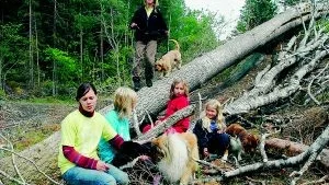 Att vara ute i skogen är ett bra sätt att träna samarbete med sin hund. På stocken hunden Ozzi som är en basset fauve de Bretagne med matte Louise Karlgren. Framför stocken Hannah Pantzar med sin border collie Zingo, Elin Backström med den långhåriga collien Indra, Martina Johansson med Molly som är en ungersk vallhundsras som heter pumi och Agnes Gustafsson med tollaren Iris.
Foto: Gunnar Johansson