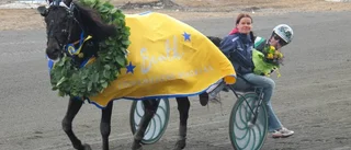 Älvsbyhästar möts i lilla elitloppet