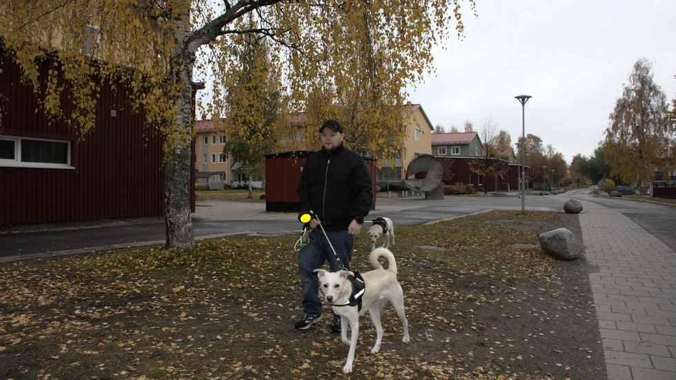 Oron har nu blivit för stor för Robin Johansson. "Snart vågar inte jag eller min sambo gå ut med hundarna längre", säger han.