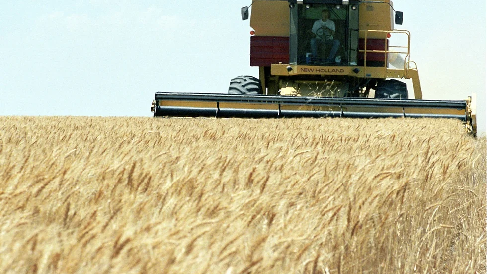 Australiska "Farmer wants a wife" anklagas för att försköna deltagarnas egendomar. Arkivbild.
