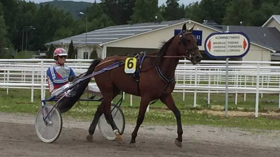 Mellby Dealer svarade för en fin prestation när han spurtade in som femma i V75-finalen på Färjestad.