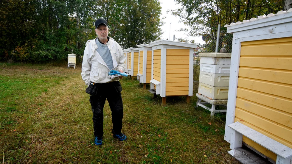 Biodlaren Mats Andersson vittnar om ett uselt honungsår i Norrbotten.