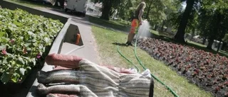 Stora löneskillnader för unga sommarjobbare