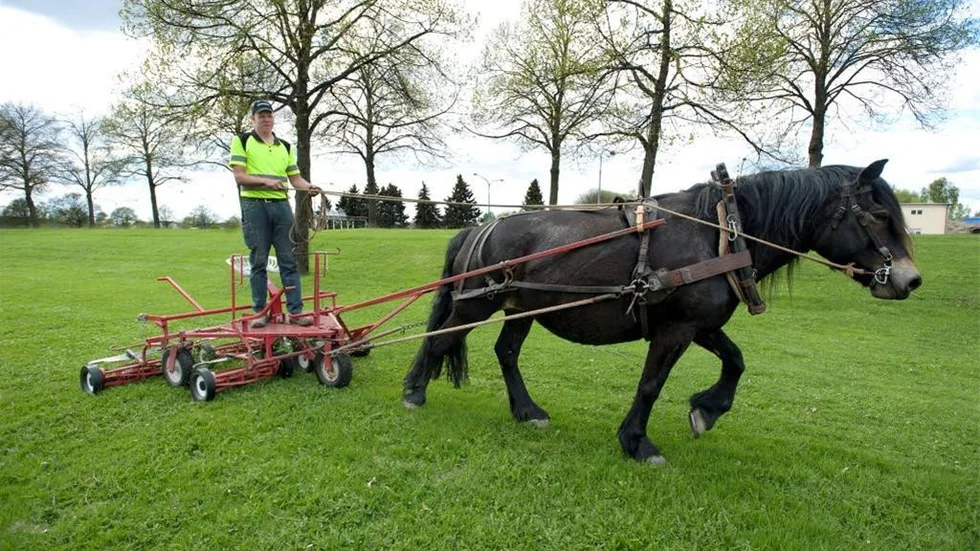 En syn som fick många att haja till - Mathias Stern och Zally. Det är alltså Vånga Hästkraft, som här klipper kyrkogårdsgräset.

Foto: Robert Svensson