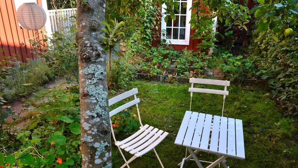 På våren ställer man fram möblerna, på hösten ställer man tillbaka dem i förrådet. Och nu är det snart dags att ställa tillbaka klockan. Natten mot söndag har vi åter normaltid, även kallad vintertid.?