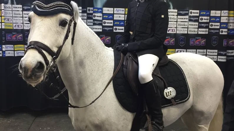 STORTÄVLING. Jennifer Nilsson och Pluto från Arjeplog var med i stortävlingen Gothenburg Horse Show. De var med i Sverigeponnyn.