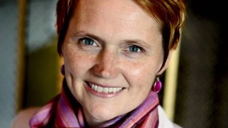Anna-Karin Hatt utreder.