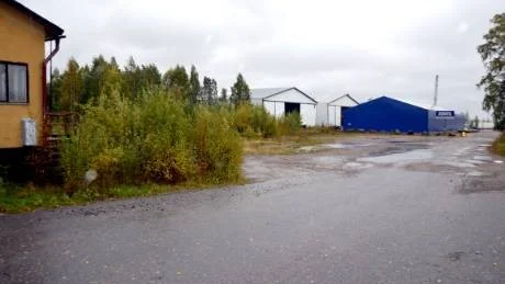 MILJÖGIFT. Marken på det gamla sågverksområdet i Båtskärsnäs innehåller stora mängder dioxin efter tidigare impregneringsverksamhet. Nu söker kommunen bidrag för sanering av området.  Foto: Britt-Louise Spets