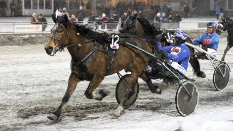 vinnare. Jens Eriksson med Prins Tabac vann det tredje V65-loppet före Gräft Berra och Nordglöd i årsfinalen på Peabtravet.Foto: Jens Bäckström