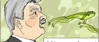 Ledare: Bakåt i grodhopp