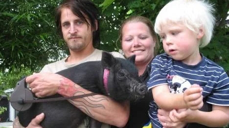 I går gav sig minigrisen Hulda ut på rymmen men det blev en lycklig återförening sedan Dennis Björklund och Elin Olsson, med sonen Elvis, läst på PT:s webbsida att Hulda hittats på Basungatan