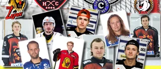 Toppklass – sex spelare får full pott: ”En av seriens allra bästa” • Betyg på alla i hockeytvåan