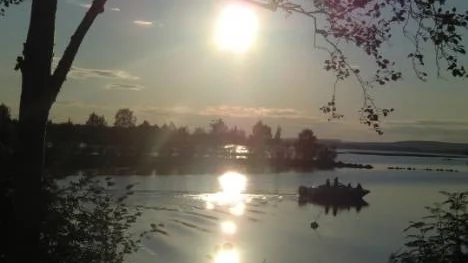 En vacker solig kväll i juli vid Gåssjön.