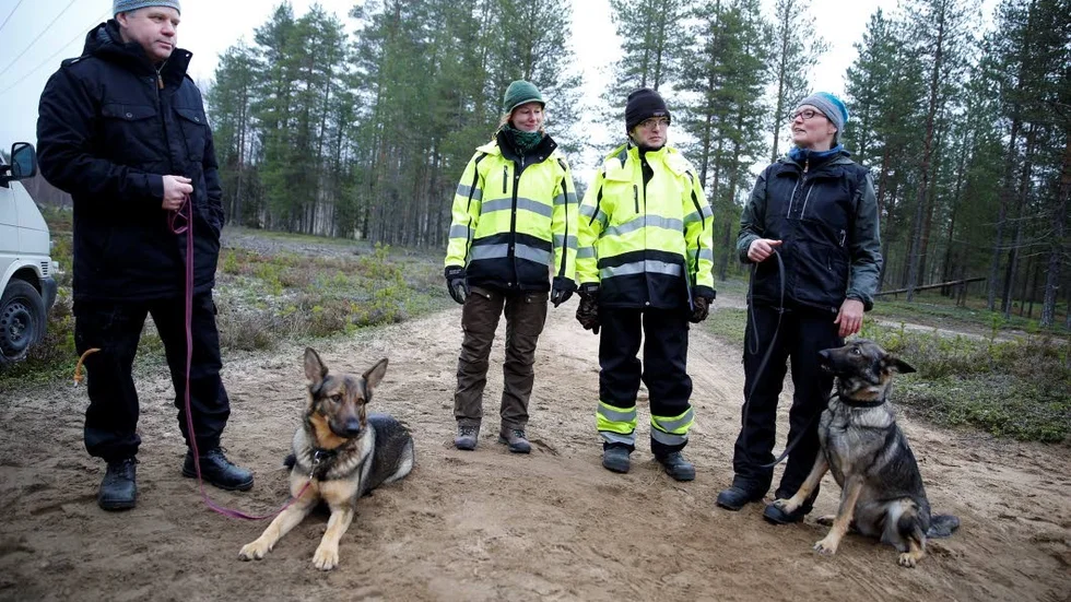 Träning. Åke Naalisvaara, Frida Palmbo, Olof Östlund och Gunilla Lindbäck tillsamans med hundarna Bella och Dasha.