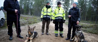 200 000 fornlämningar i länet