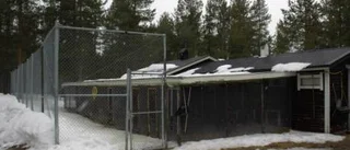 Hundgårdens framtid i vågskålen