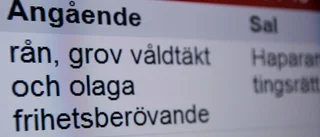 "Bestrider ansvar för brott"