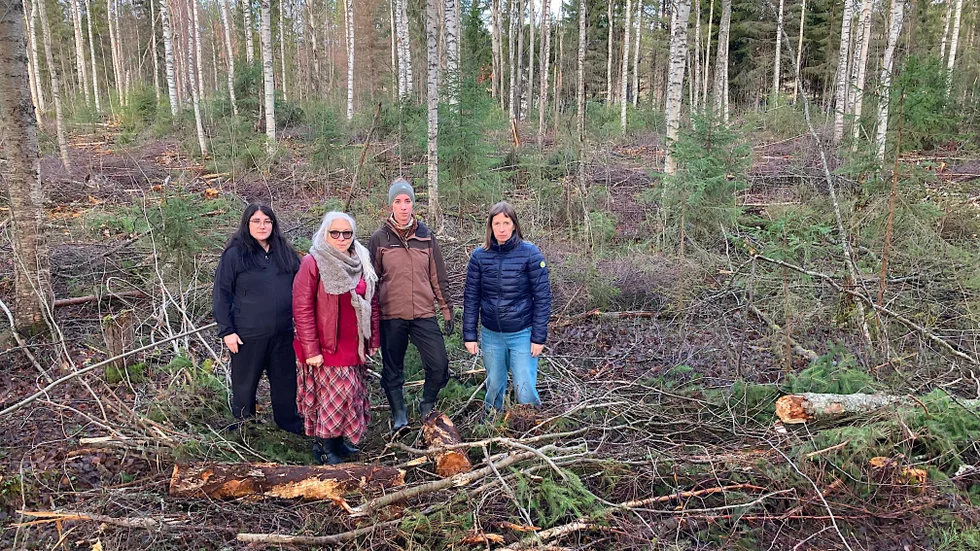 Här står gruppen mitt i skogen in bit in efter Petövägen. Louise Pedersen, Ann Carlberg, Jenny Malmqvist och Carina Ask."Vi är inte emot trygghetgallringen utan sättet det genomförts på, säger Malmqvist.