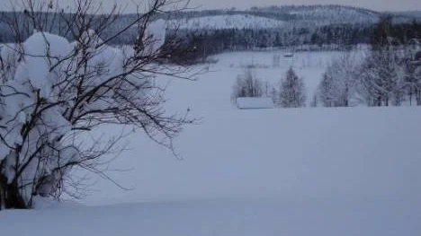 Vinterväder i Bodsjön. Bilden togs av Eivor Lundberg, Piteå.