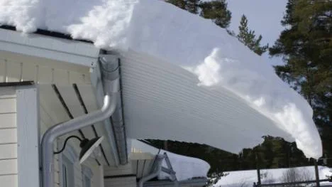 Naturens eget skärmtak.Bilden taget vid ett garage i Bergsviken.