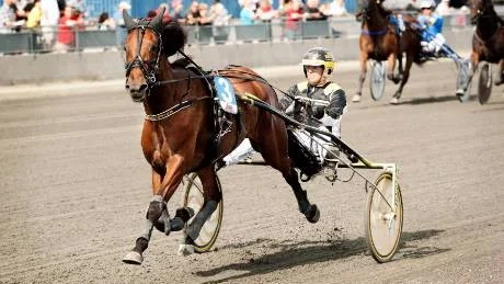 STIM. Hemmaproffset Petter Lundberg segrade i V5-1 med Malgomaj B.