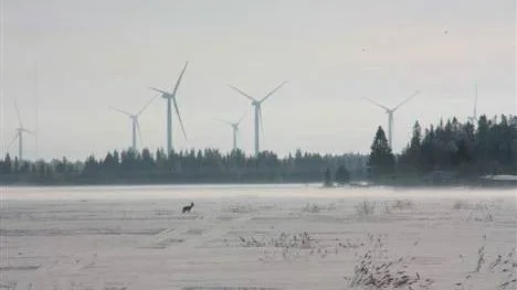 Med utsikt mot Bondön och vindsnurrorna. I förgrunden ses ett rådjur på väg över vidderna.