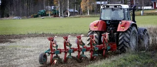Seniorföretagandet minskar