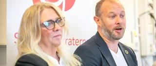 Långsiktigt ansvar för Gotlands framtid