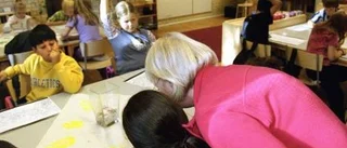Skolan är ett känsligt kapitel