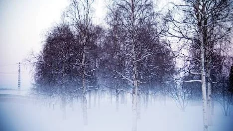 Bilden togs en morgon när kyla och värme möttes och dimma lade sig över nejden.