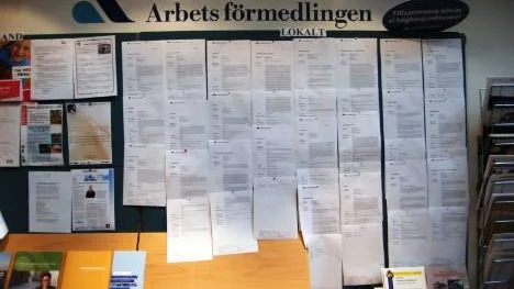 Det ser ljust ut på arbetsmarknaden i Arjeplog i höst. Hela tavlan på Arbetsförmedlingen är full med jobb.