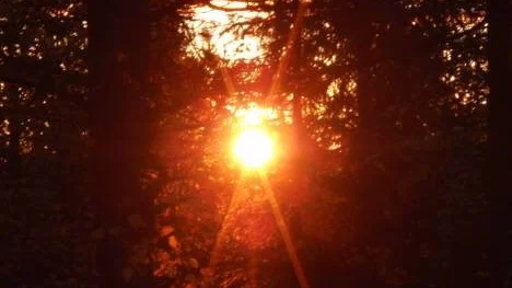En soluppgång tidigt en septembermorgon i Björkbergsskogarna utanför Älvsbyn.