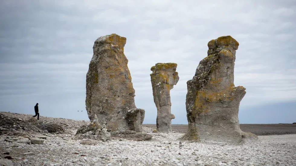 Langhammars på Fårö, ett av de mer kända raukområdena på Gotland.