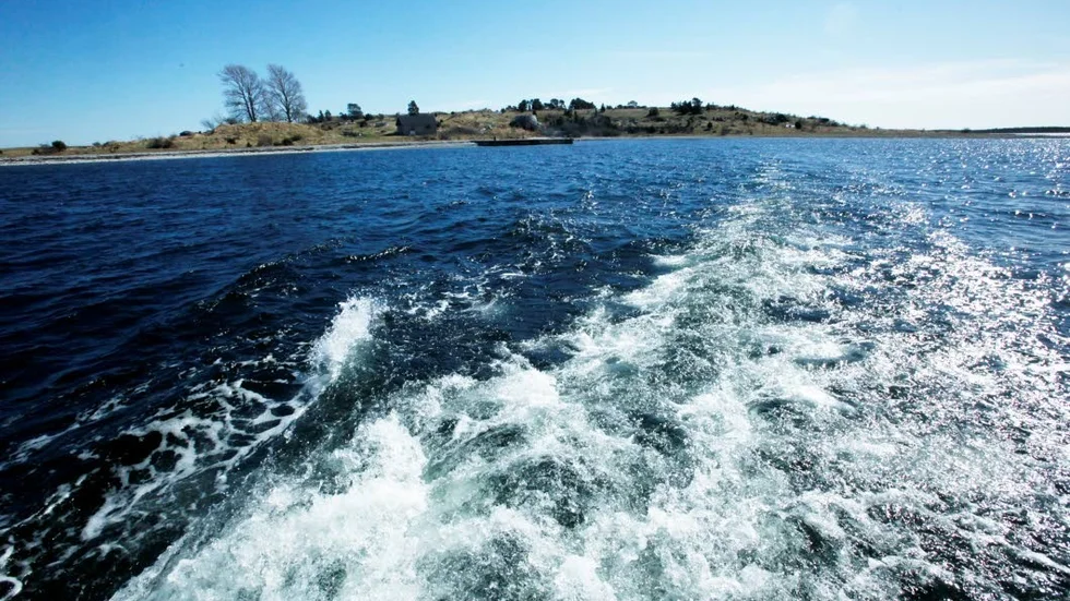 Enholmen i Slite skärgård, en av de större av Gotlands många öar.