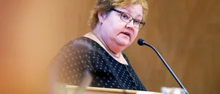 Efter hatet: Stålnacke stöttad i fullmäktige