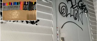 Rättegång mot serieklottrare • Fångades på övervakningsfilm • Skador för hundratusentals kronor 