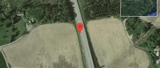 Rådjur på vägen på väg 56