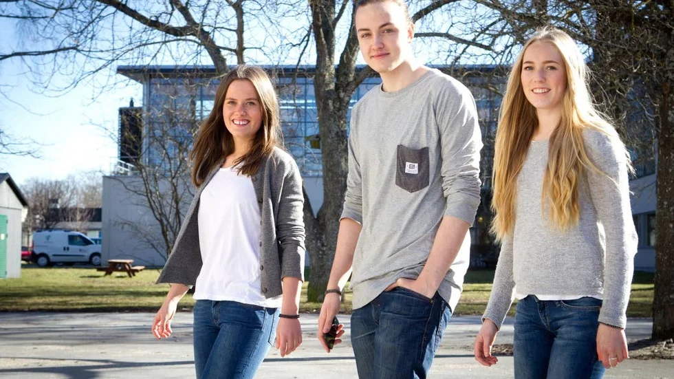One collection UF. Elisabeth Hellström, Ulrika Slotte Värjö och Axel Zander tävlar i fyra olika kategorier under SM i UF.