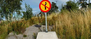 Urin på ruin: Togs på bar gärning