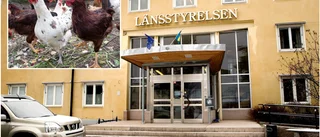 Allvarliga brister hos djurägare i Luleå • Hundar saknade rent vatten • Elledningar riskerade att skada höns 
